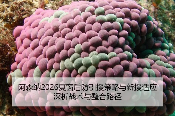 a-sen-na-xia-chuang-hou-fang-yin-yuan-ce-lve-yu-xin-yuan-shi-ying-shen-xi-zhan-shu-yu-zheng-he-lu-jing-2-763.jpg